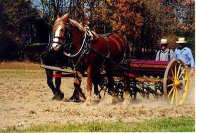 Western Inn-florham Park